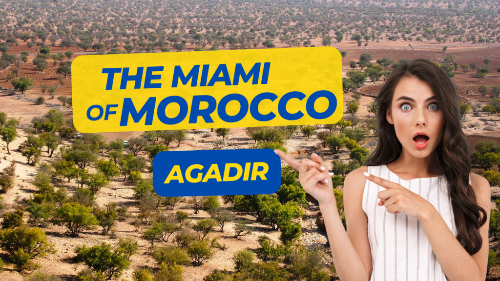 miami morocco
